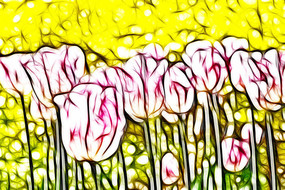 ��ɫ������������