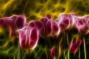 ��ɫ������������