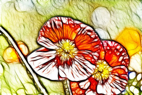 ��ɫ������������