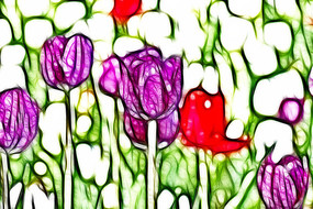 ����������������