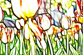 ������������������