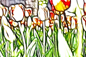 ����������޿�