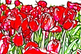 ��ɫӡ�����������