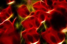 ��ɫӡ�����������������