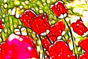 ��ɫӡ���������޿����������