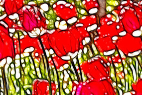 ��ɫӡ��������������