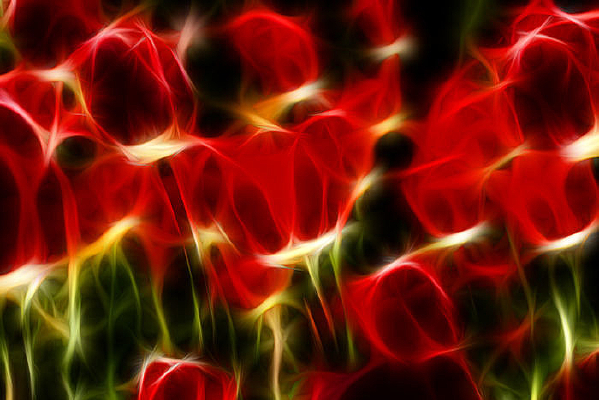 ��ɫӡ��������������