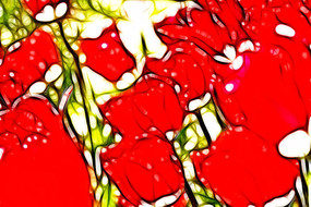 ��ɫӡ��������װ�γ���������