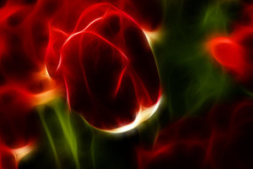 ��ɫӡ��������װ��������