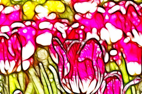 ��ɫ�������޿�