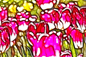 ��ɫ������װ�λ�