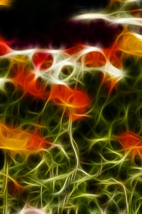 ��ɫ������װ�λ�