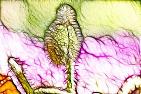 ���Ƕ� ������