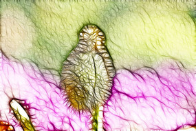 ���Ƕ�װ�λ�