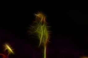 ���Ƕ�װ�λ�