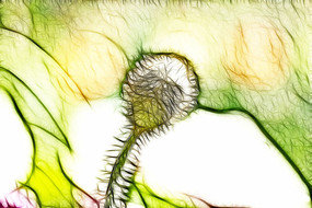 ����װ�λ�