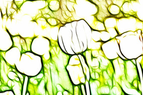 �ƴ���������������