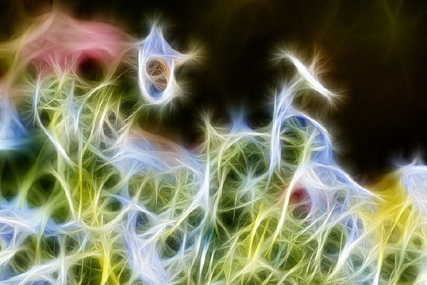 �Ͼճ���������