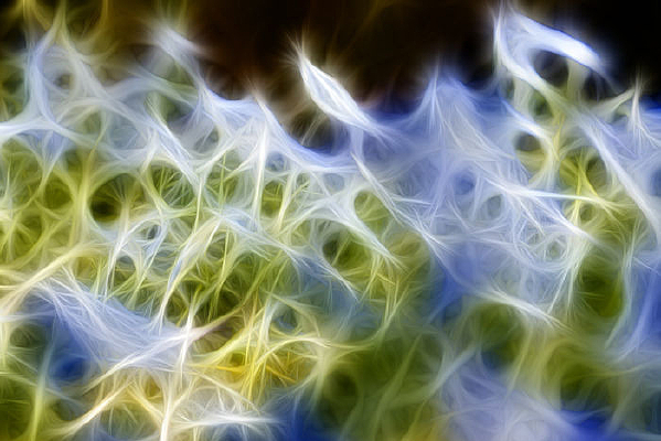 �Ͼ�������