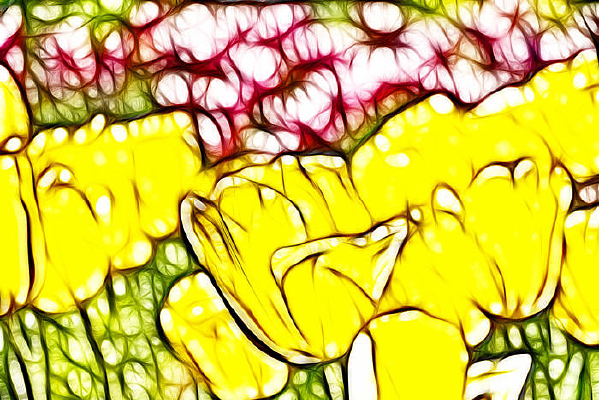 ������˹���������޿����