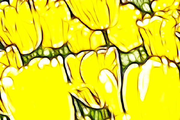 ������˹���������޿��������