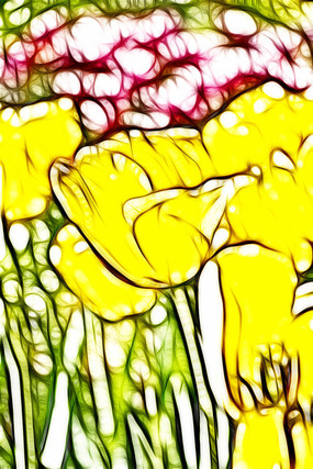 ������˹��������װ�γ���������