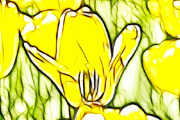 ������˹��������װ���޿�