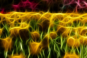 ��ɫ���������