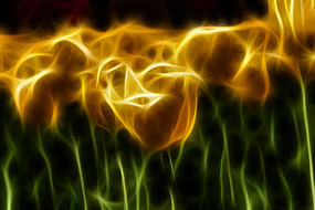 ��ɫ���������������