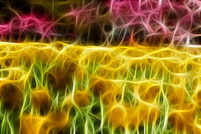 ��ɫ�������޿�