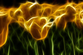 ��ɫ�������޿򻭳���