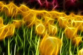 ��ɫ������������