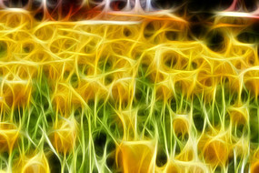 ��ɫ������װ�λ�