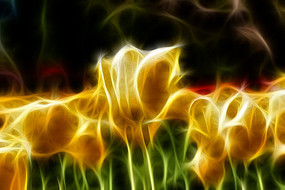 ��ɫ������װ�λ�����