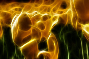 ��ɫ������װ�λ������������޿�