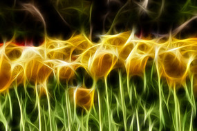 ��ɫ������װ���޿����������