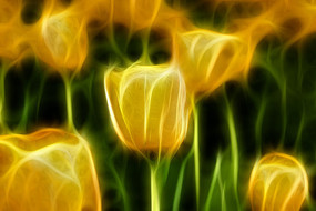 ��ɫ������װ���޿�