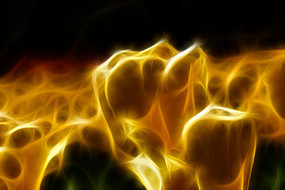 ��ɫ������װ��������