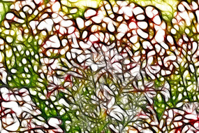 ���̲�װ�λ�������