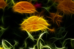 ��յ�ճ���