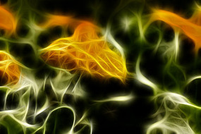 ��յ���޿�