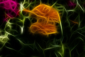 ��յ��������