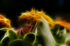 ��յ��װ�λ�