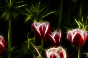 ����άɪ���������������