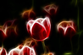 ����άɪ������װ�λ������������޿�