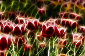 ����άɪ������װ�����������޿�