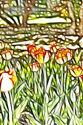 �����ɫ���������������