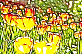 �����ɫ������װ���޿����������