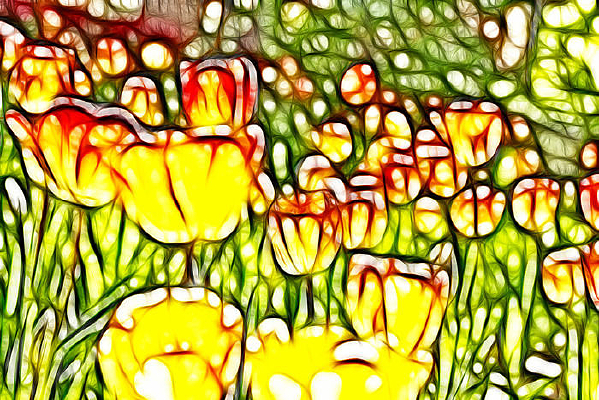 �����ɫ������װ���޿����������