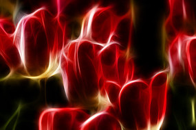 �������������������